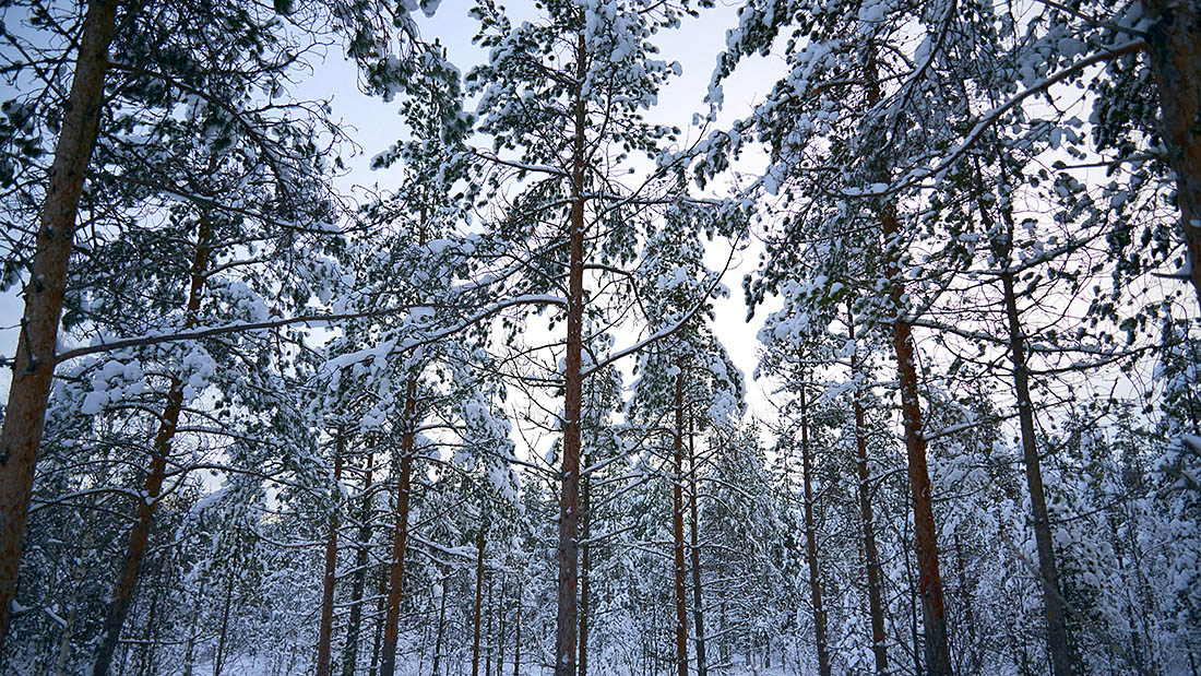 Lapland