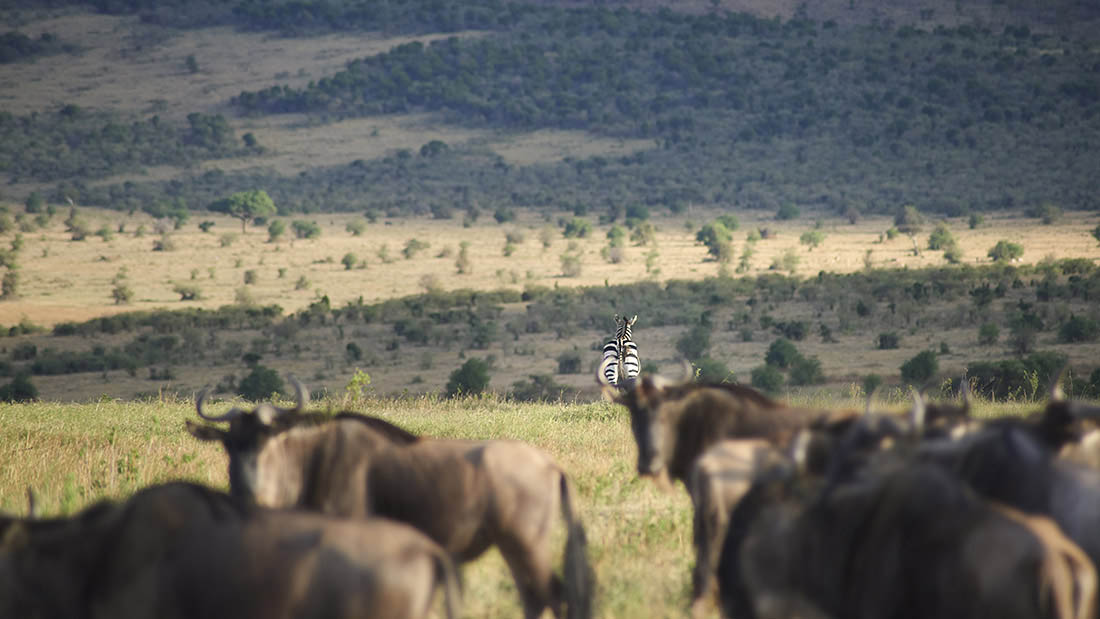 Kenya